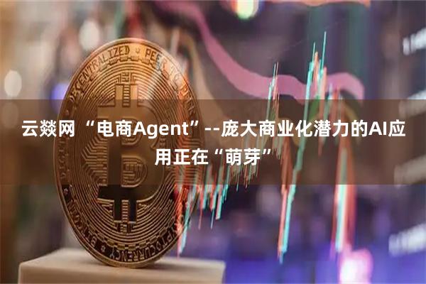 云燚网 “电商Agent”--庞大商业化潜力的AI应用正在“萌芽”