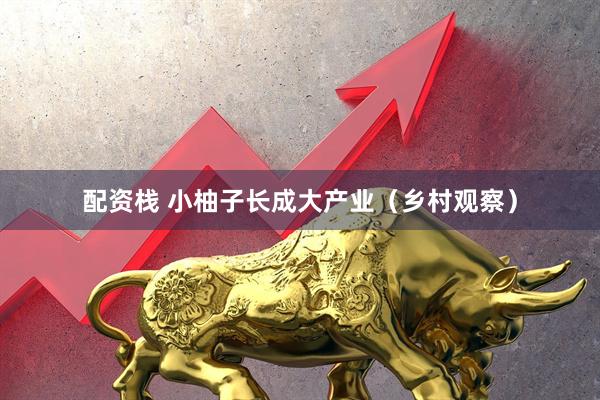 配资栈 小柚子长成大产业（乡村观察）