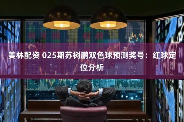 美林配资 025期苏树鹏双色球预测奖号：红球定位分析